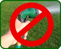 NOWATERING.jpg