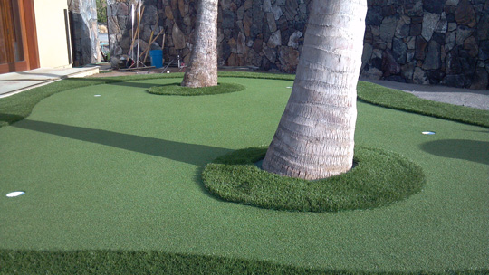 putting-green-2palms.jpg