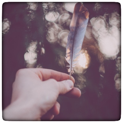 feather-01.jpeg