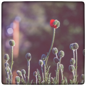 how to create a healing business. clarity. entrepreneur
