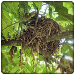 equinox, spring equinox, fall equinox, entrepreneur, business clarity coach