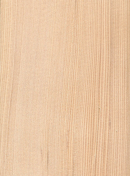 Fir