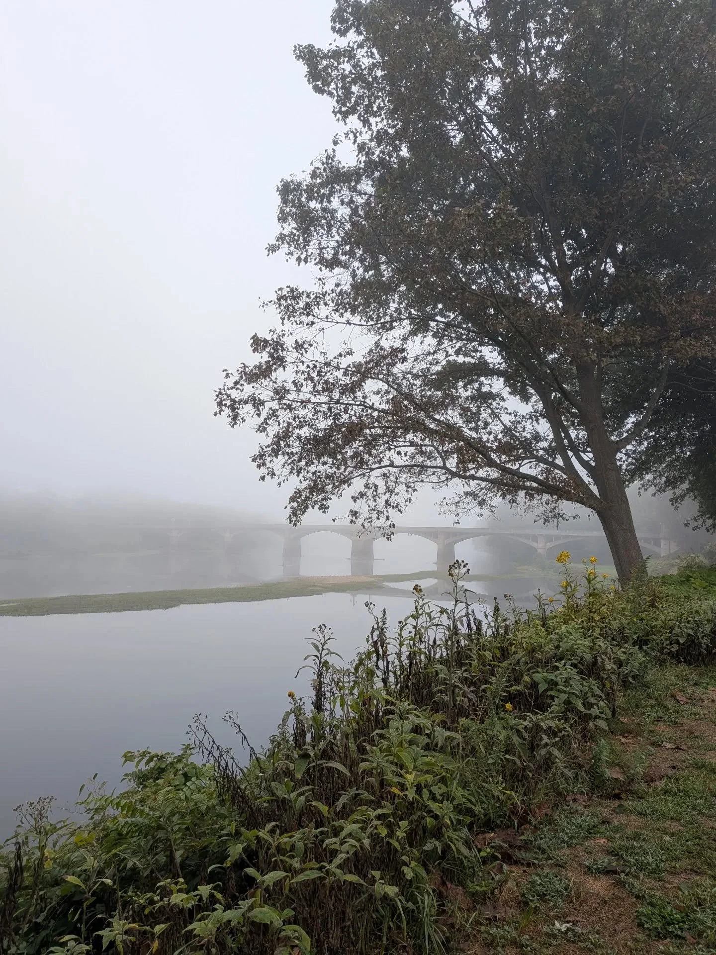 A beautiful foggy morning at the Watsontown yardsales. Every year my mom used to bring me here, where I'd get to play with my cousins, eat chicken corn soup, and make all manners of mischief. 

No mischief this year, but I did run into one of my form