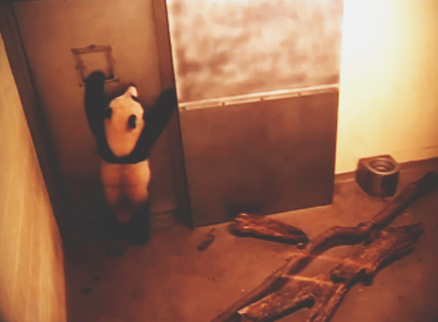 Spying on Animals: Moments from Zoo Surveillance Feeds