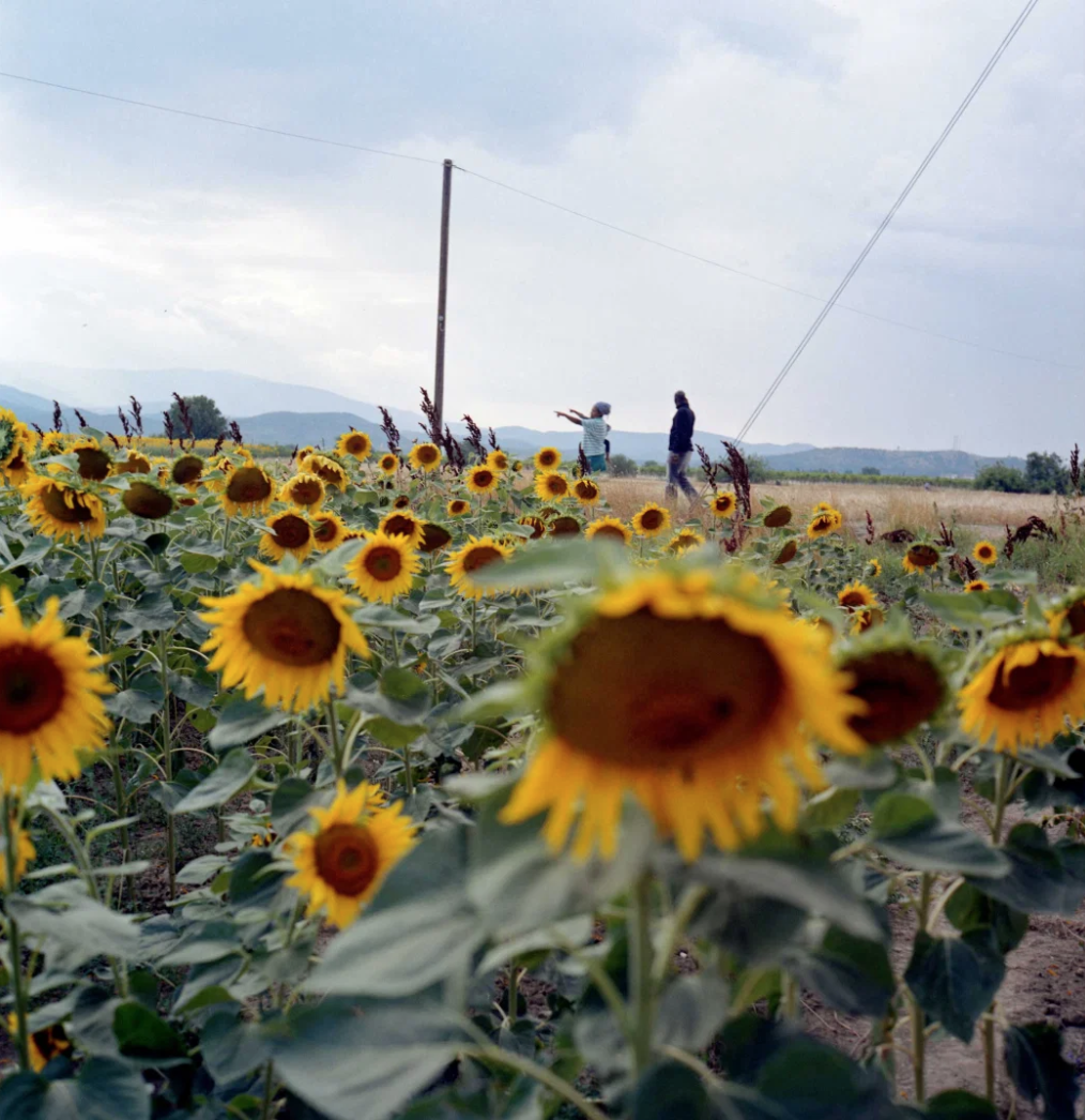 Discover Migrants' Journey to Europe Through Macedonia