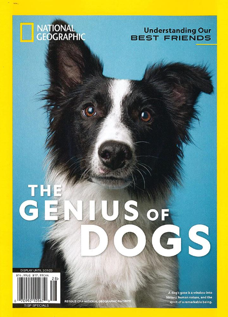  Curated all visuals in best-selling single-topic newsstand special edition: “The Genius of Dogs: How Dogs Are Smarter Than You Think (April 2020)” 