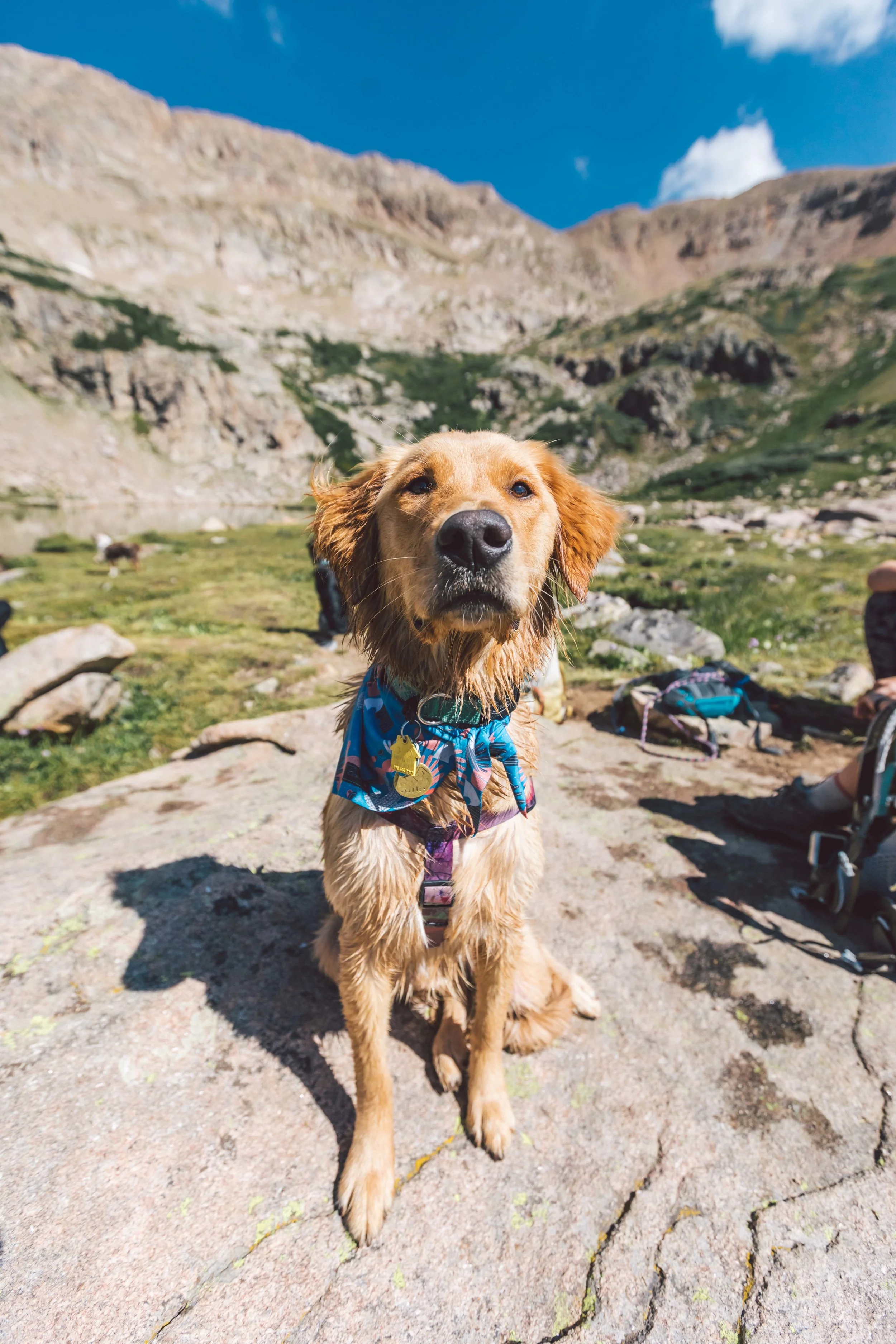 Herman Gulch Web Friendly-2.jpg
