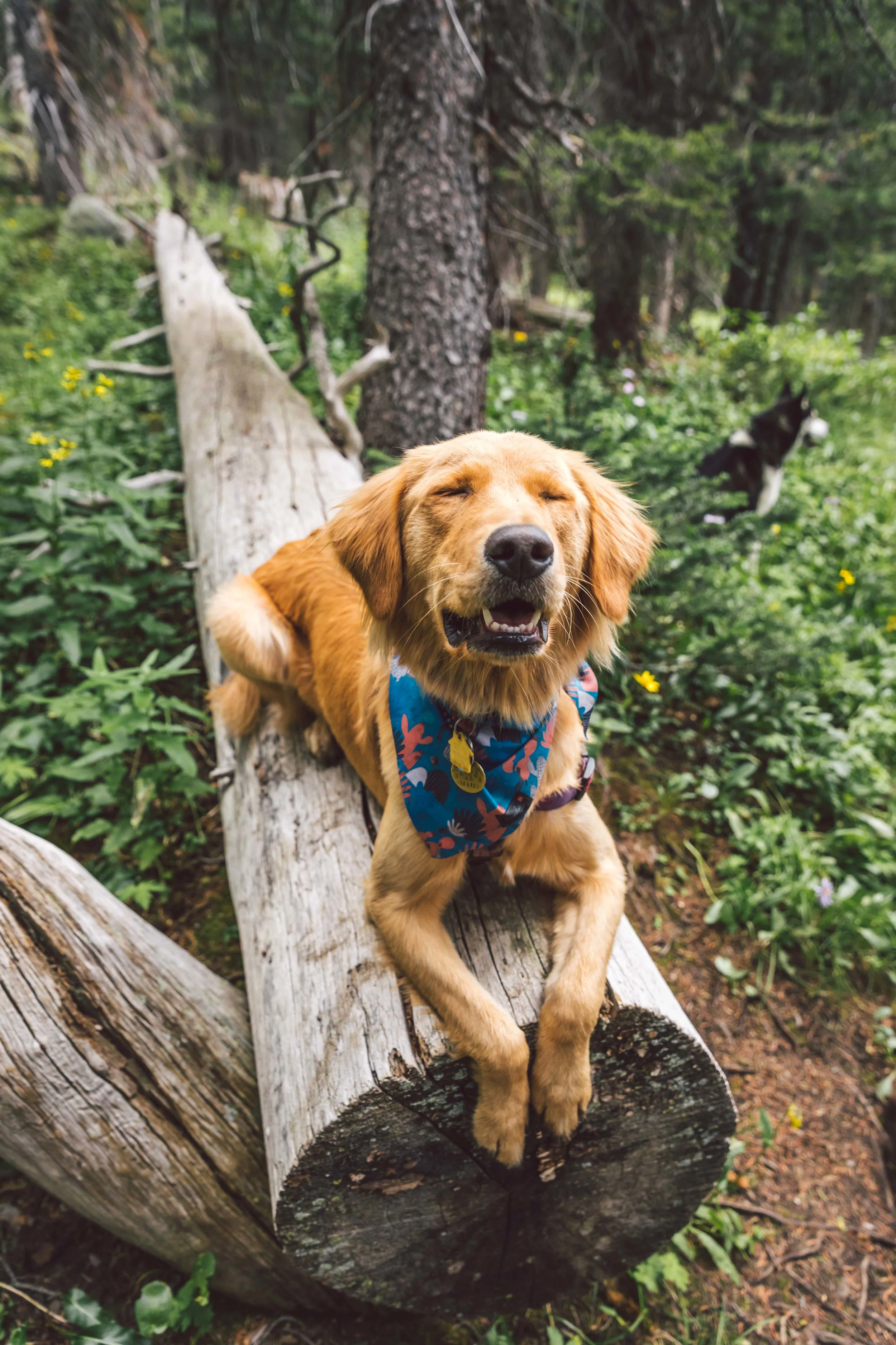 Herman Gulch Web Friendly-9.jpg