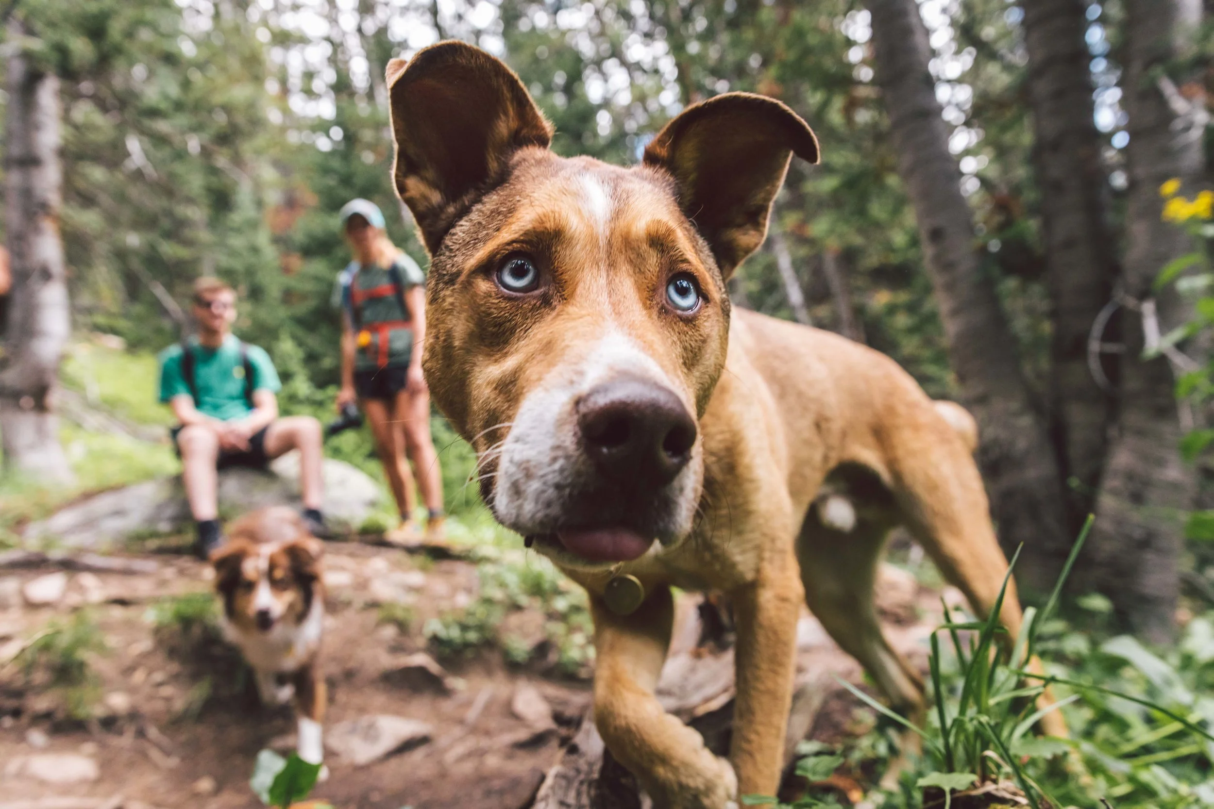 Herman Gulch Web Friendly-14.jpg