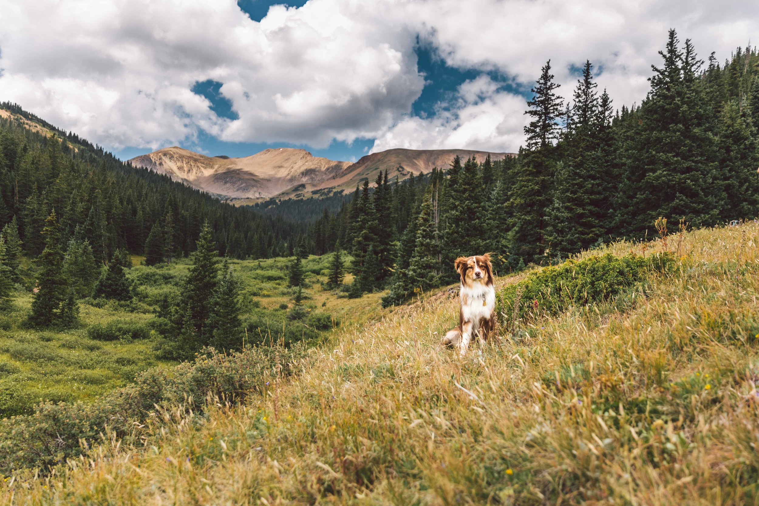 Herman Gulch Web Friendly-21.jpg