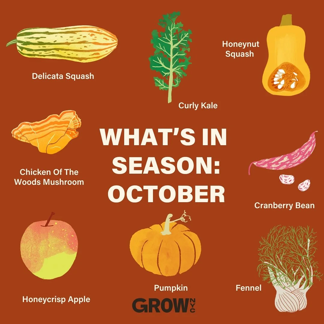🍂 Fall flavors have arrived! 🍂

At GrowNYC Wholesale, every order does more than bring fresh produce to your kitchen - it helps build a more sustainable food system for our city. By sourcing through us, you&rsquo;re directly supporting farmers and 