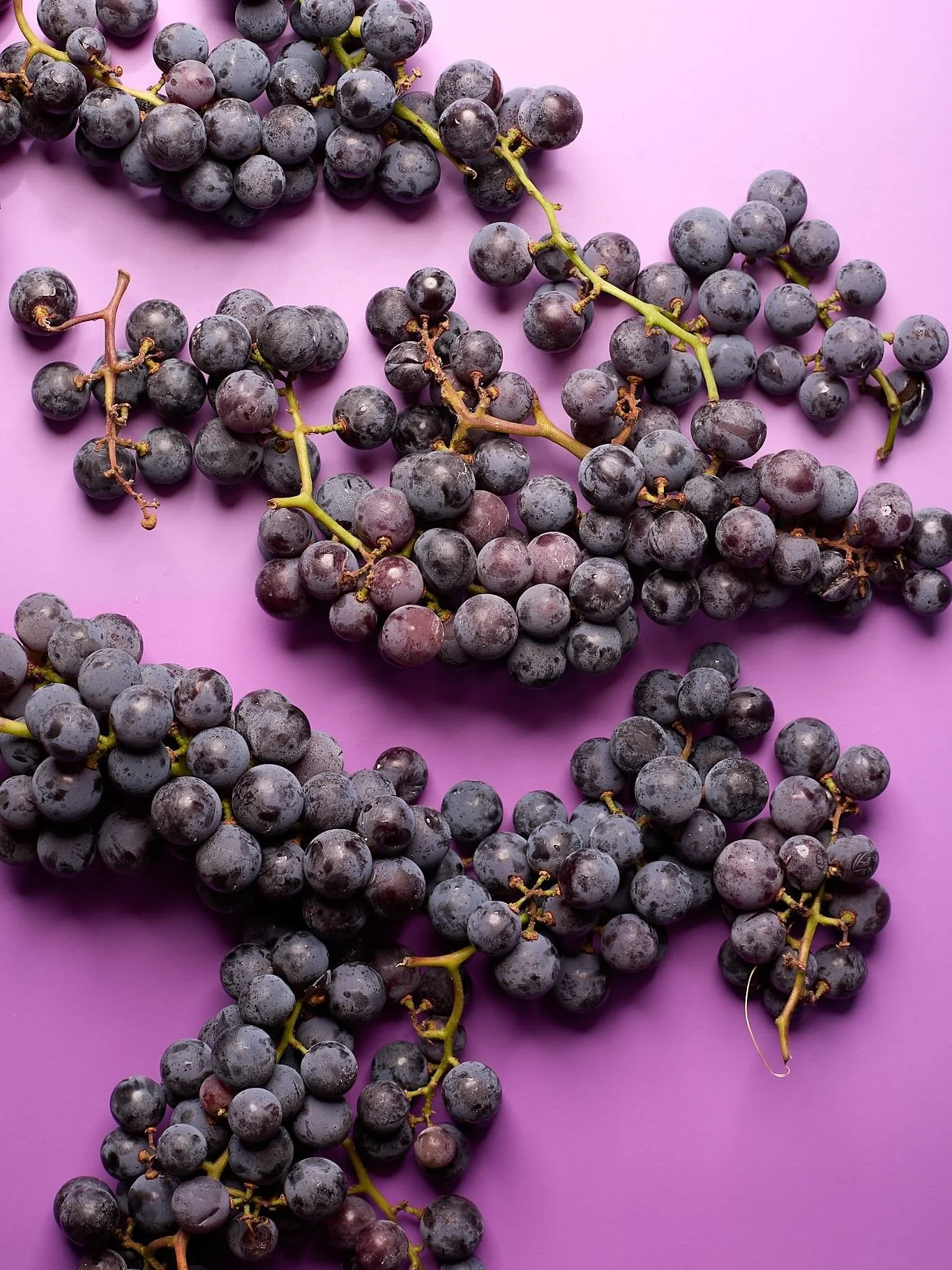 We are proudly sourcing our grapes from @trapanifarms 🍇