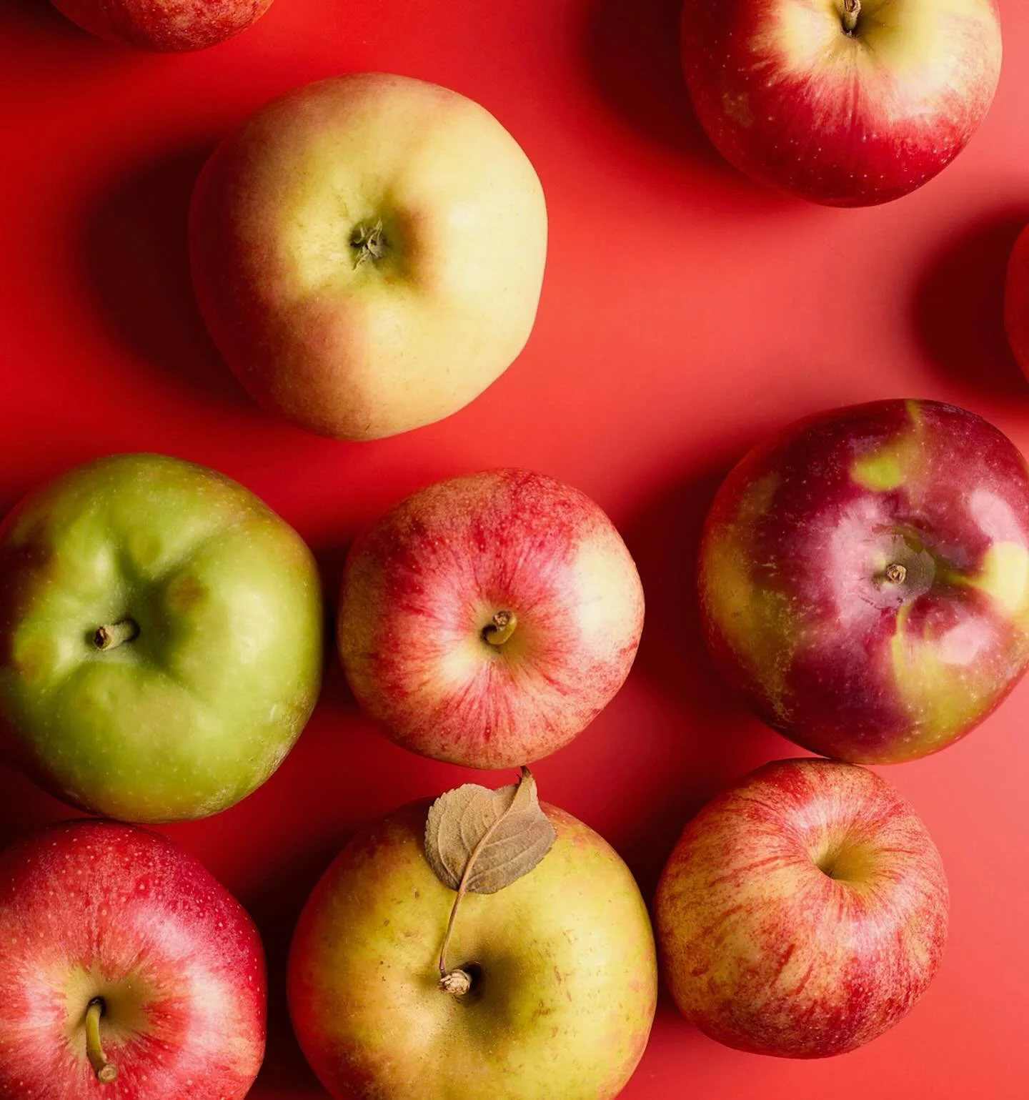 Welcome sweet fall! There will be a bounty of crisp apples up on our site this season, but today we are highlighting Ginger Gold apples.