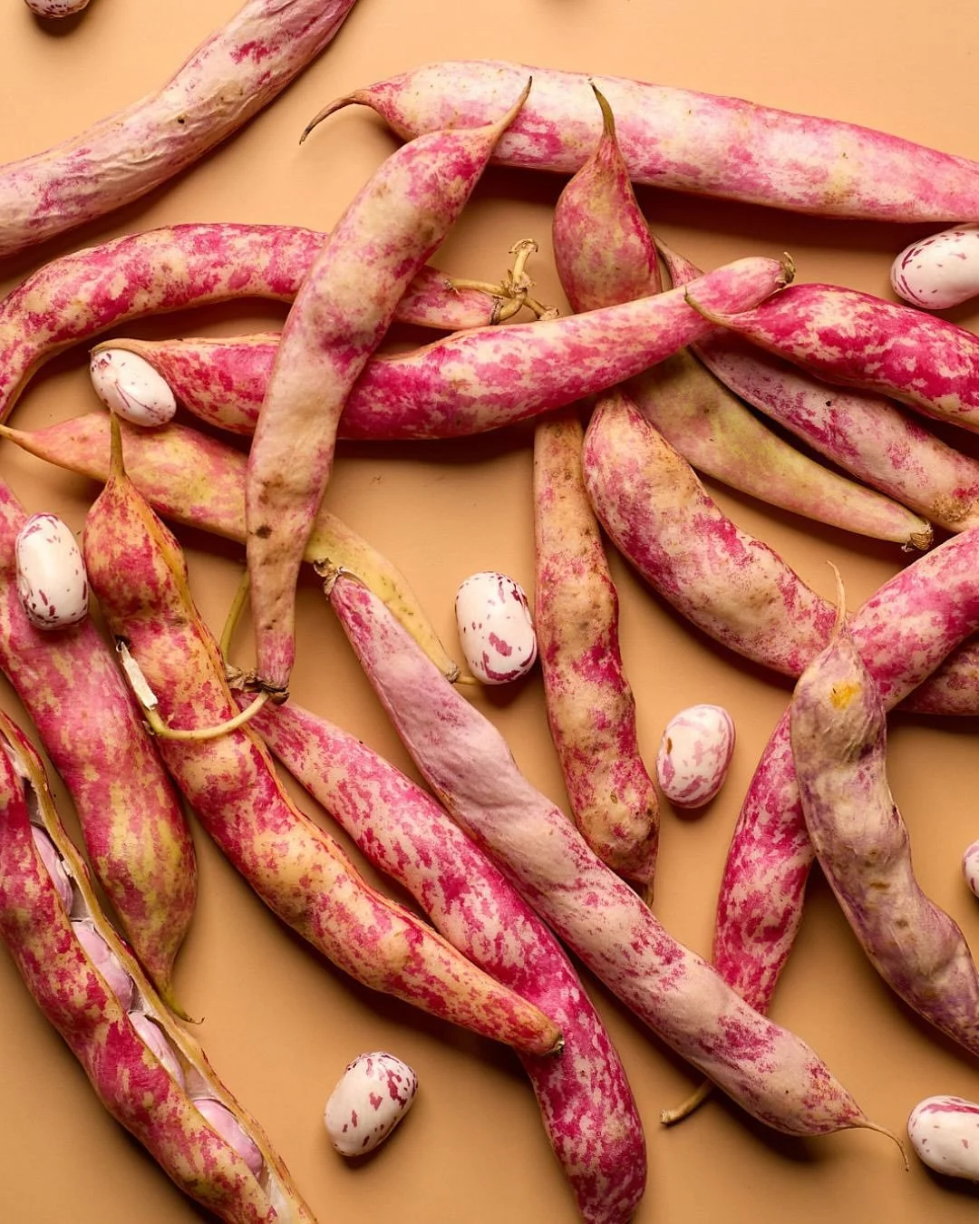 CRANBERRY BEANS 💞🌸💃🏻