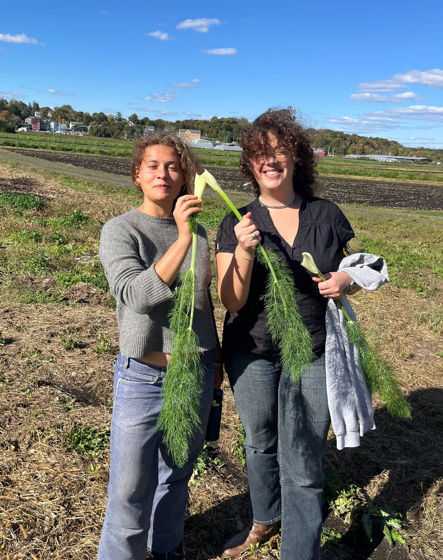 We are proud to distribute @sunsproutfarm ! 

Nestled in the heart of New York&rsquo;s famed Black Dirt Region, Sun Sprout Farm has been cultivating organic produce from some of the most fertile soil in the Northeast. Founded with a commitment to eco