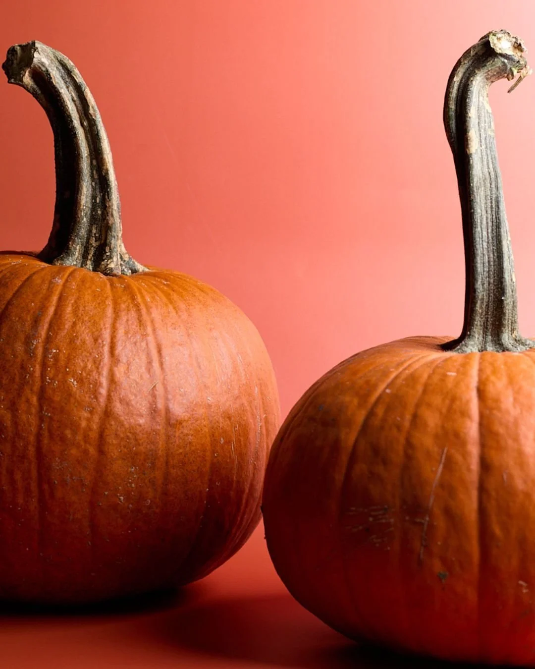 PIE PUMPKINS! Happy Halloween 🍂