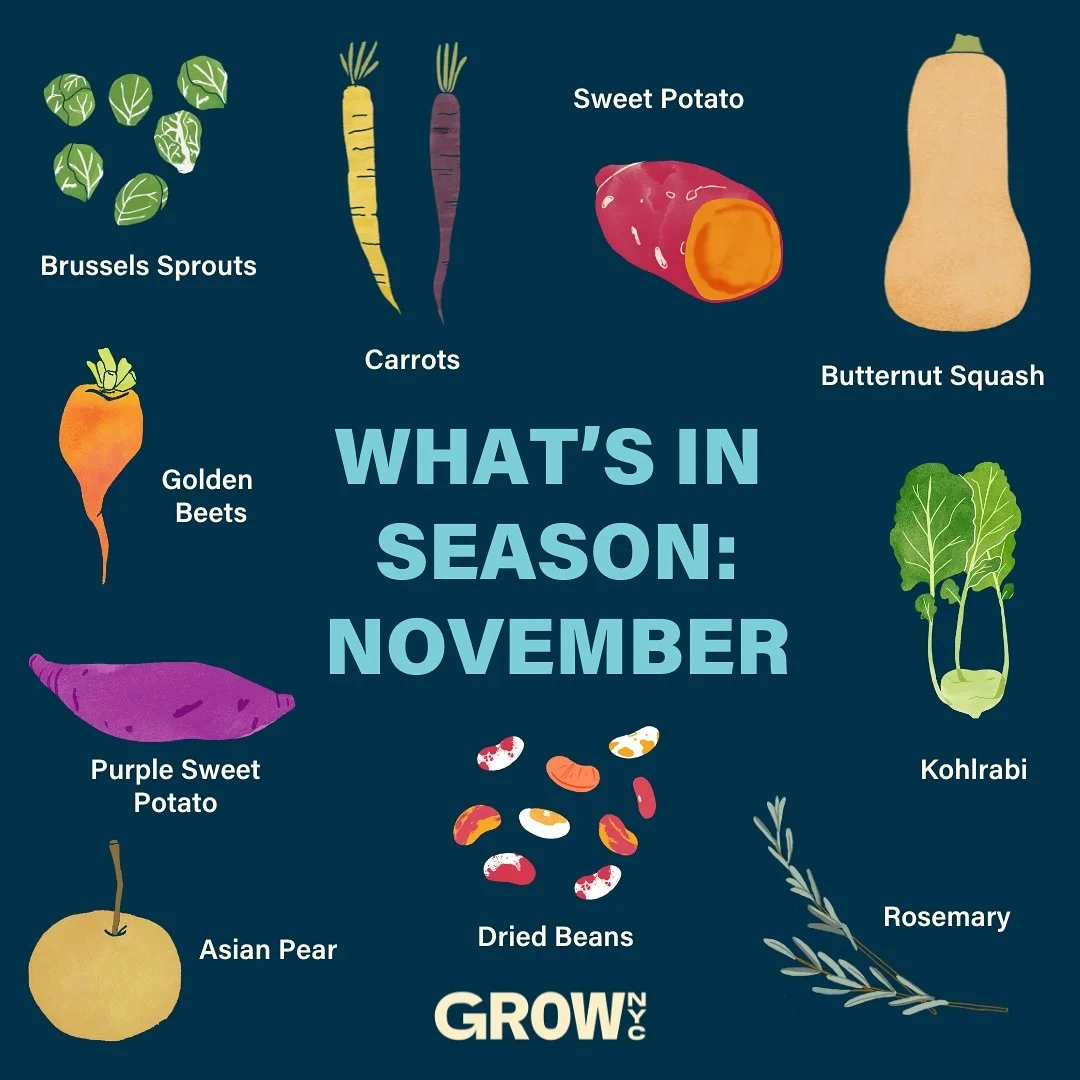 November harvests are here, and our warehouse is filled with color, flavor, and freshness straight from farms 🍁

From hearty roots to crisp greens and fragrant herbs, GrowNYC Wholesale connects restaurants, schools, and community partners with the b