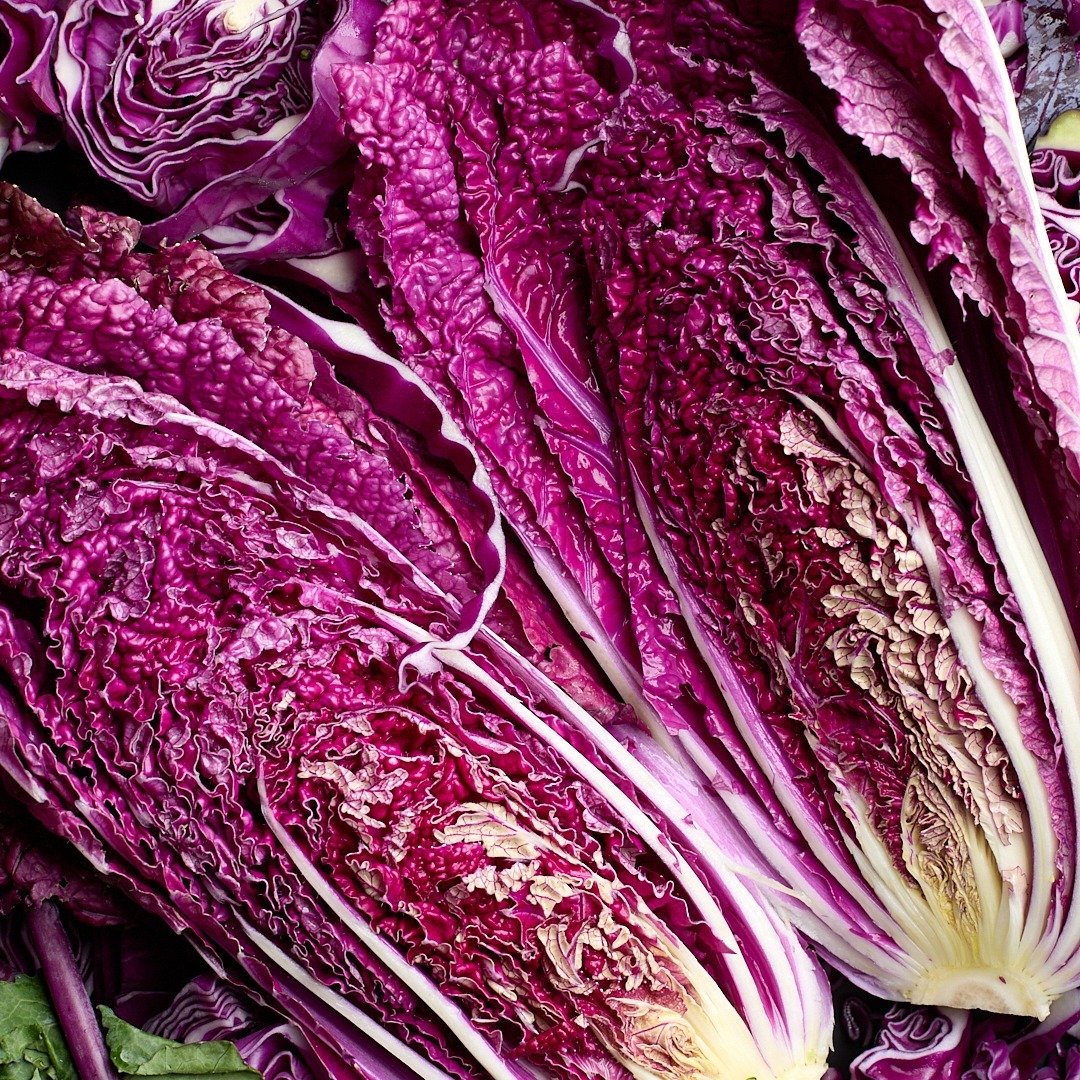 Red napa cabbage!