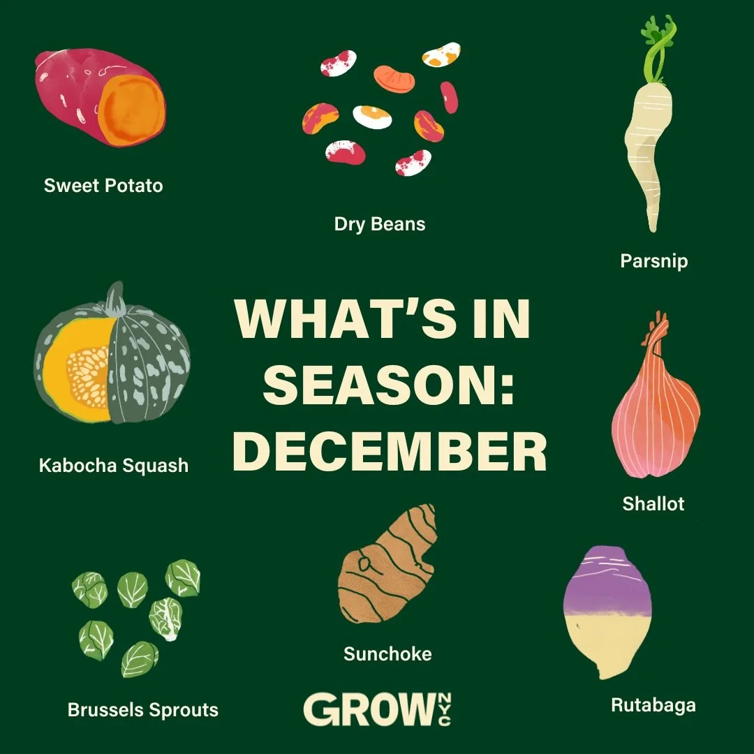 Shopping for your kitchen, community program, or restaurant? GrowNYC Wholesale has you covered this month with the best of winter!

From hearty roots to cold-weather staples, GrowNYC Wholesale continues to bring fresh, responsibly grown produce into 