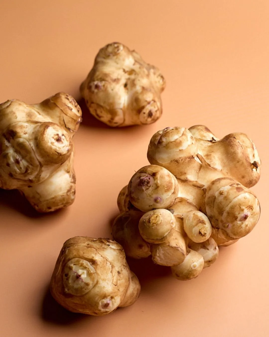 S U N C H O K E S ☀️