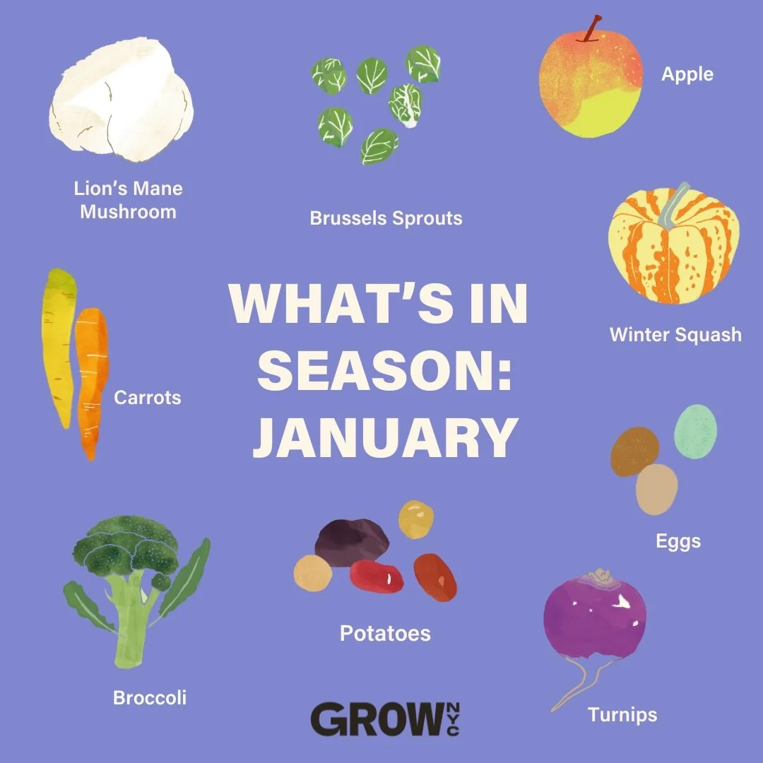 Even in the heart of winter, there&rsquo;s plenty to enjoy! January brings hearty, nourishing staples that are perfect for the season. Eating seasonally means supporting farmers and enjoying peak-flavor food.

Order in bulk from&nbsp;@grownyc&rsquo;s