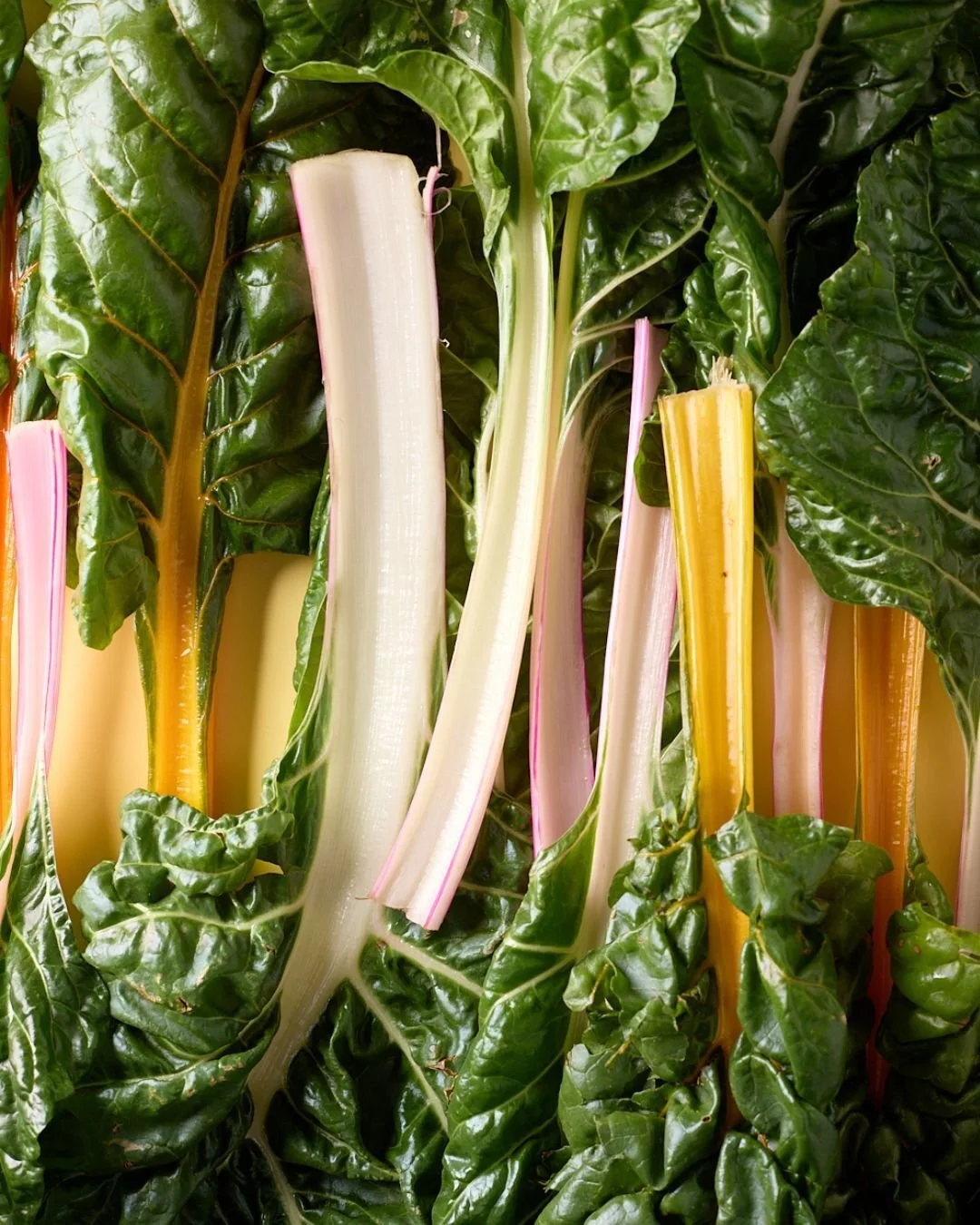 As we approach a frosty weekend we couldn't help but look ahead to rainbow chard 🌈  It's just too beautiful. When in season we get ours from @the_grandpa_farm19 , @halalpasturesfarm , @migliorellifarm , and Dagele Brothers Produce!