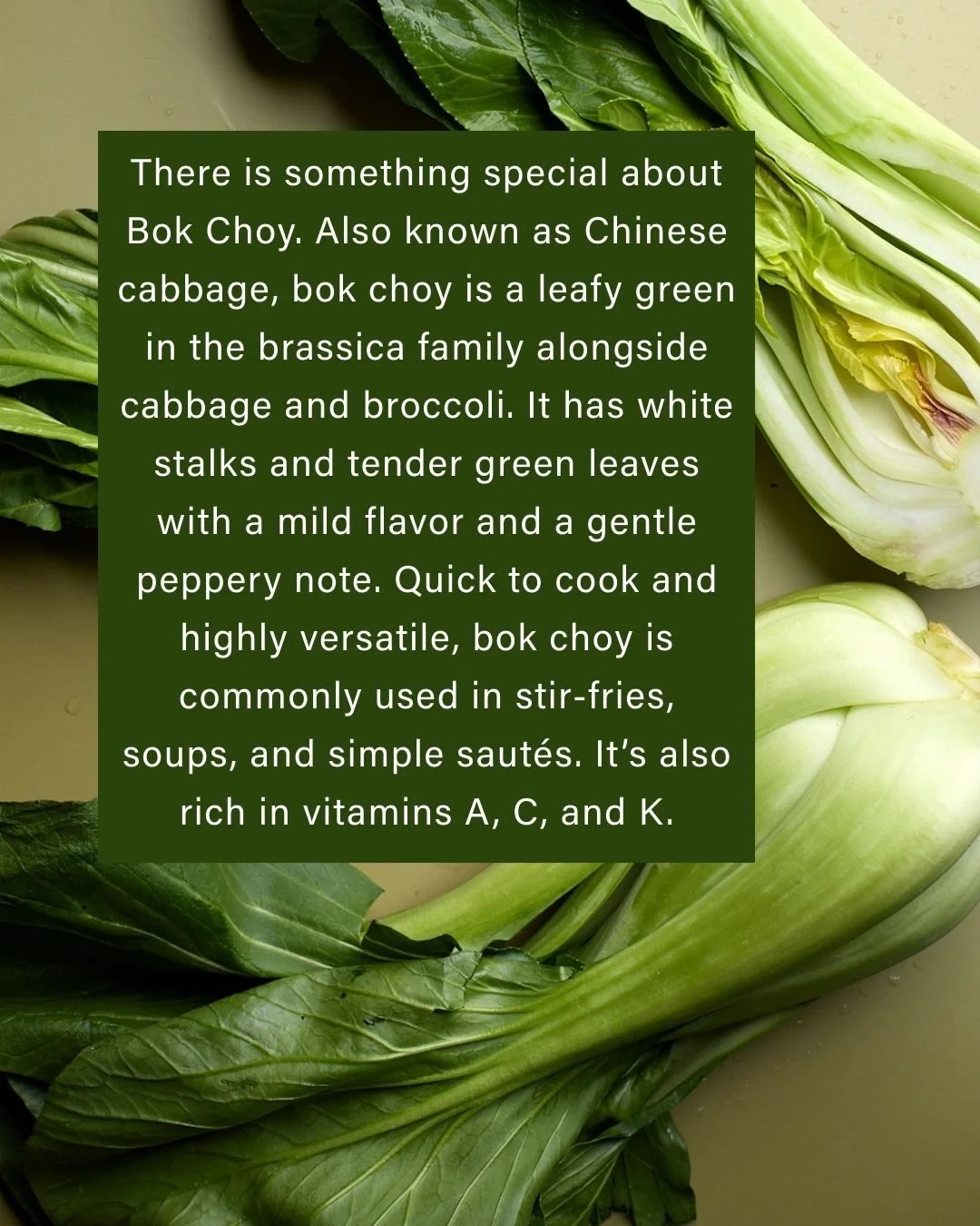 Bok choy is special 💎

@halalpasturesfarm supplies ours