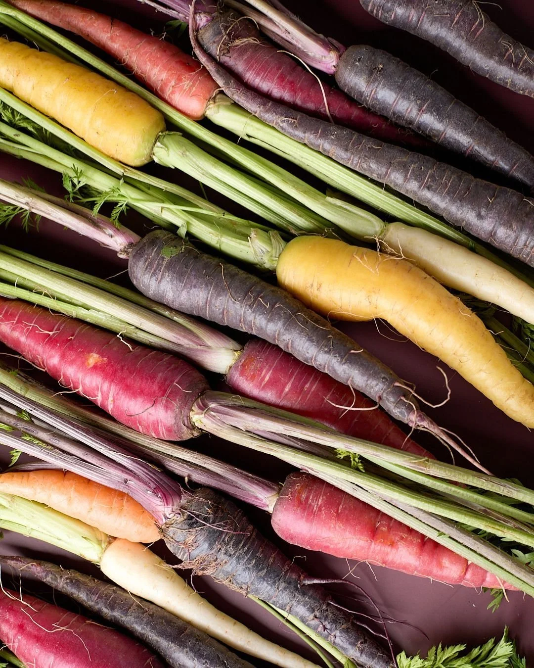 Currently we source our rainbow carrots from @halalpasturesfarm 💫