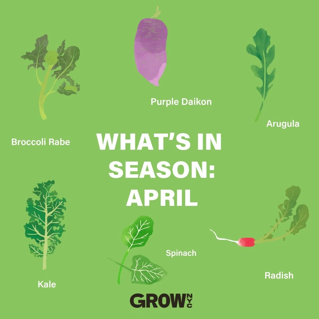 Spring is in season, and it&rsquo;s the best time to build menus that reflect what&rsquo;s growing right now!

At GrowNYC Wholesale, we connect you directly with farmers, making it easy to source high-quality, seasonal ingredients your customers or c