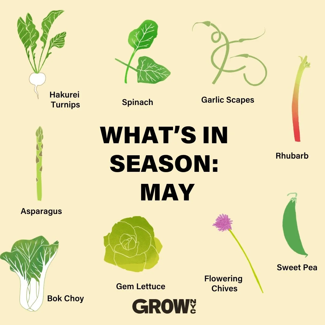 Good food starts with good sourcing.&nbsp;

At GrowNYC Wholesale, we&rsquo;re proud to connect you with fresh produce, straight from farmers. Place your order with GrowNYC Wholesale and bring the best of the season to your kitchen, business, or commu