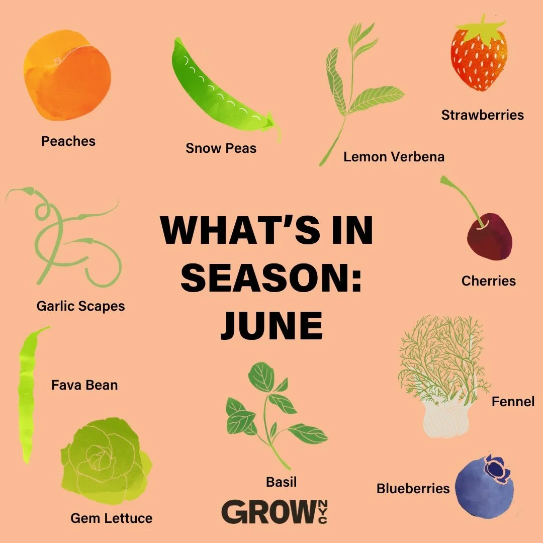 Seasonality is at the heart of everything we do. As the growing season continues, we&rsquo;re proud to connect New York City to fresh produce sourced from farms at the peak of harvest. There&rsquo;s nothing better than cooking with ingredients that r