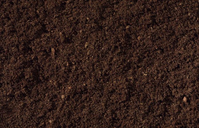 garden10_northerncompost.com_-700x451.jpg