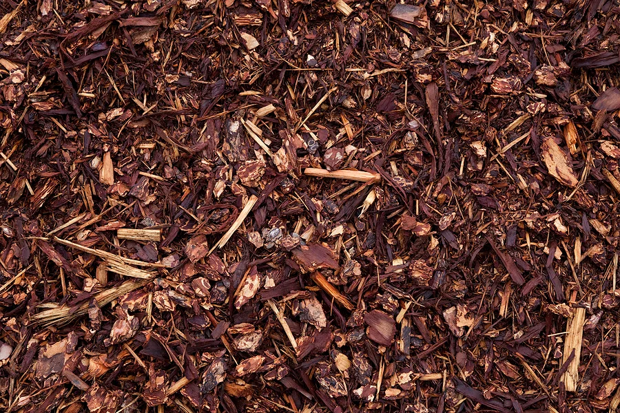 Mulch-of-organic-materials1.jpg