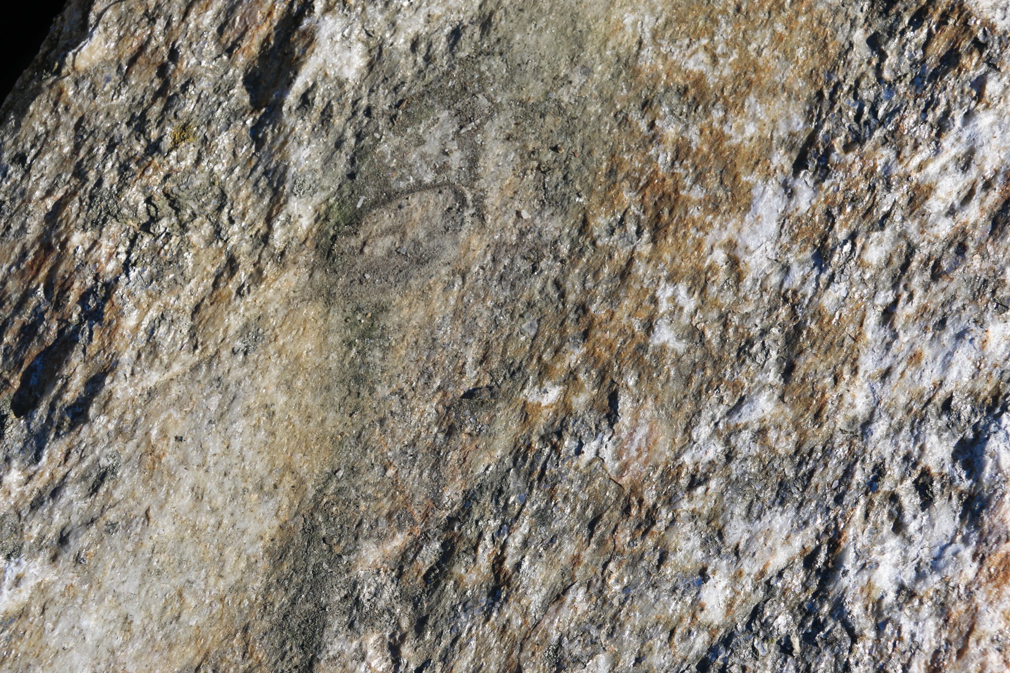 DECORATIVE BOULDERS — Hillside Stone & Garden