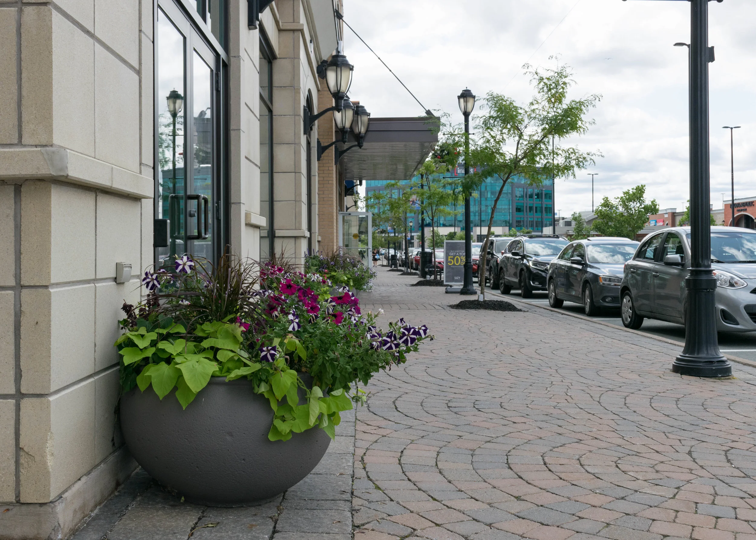 Image-15.jpg