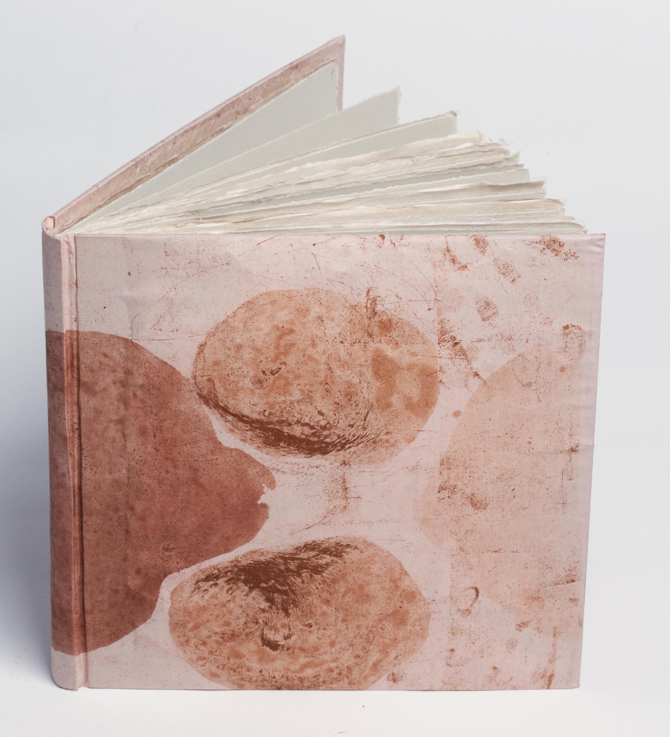 Embodiment Practice Artist Book, containing 10 etchings and 12 screenprints, 2012