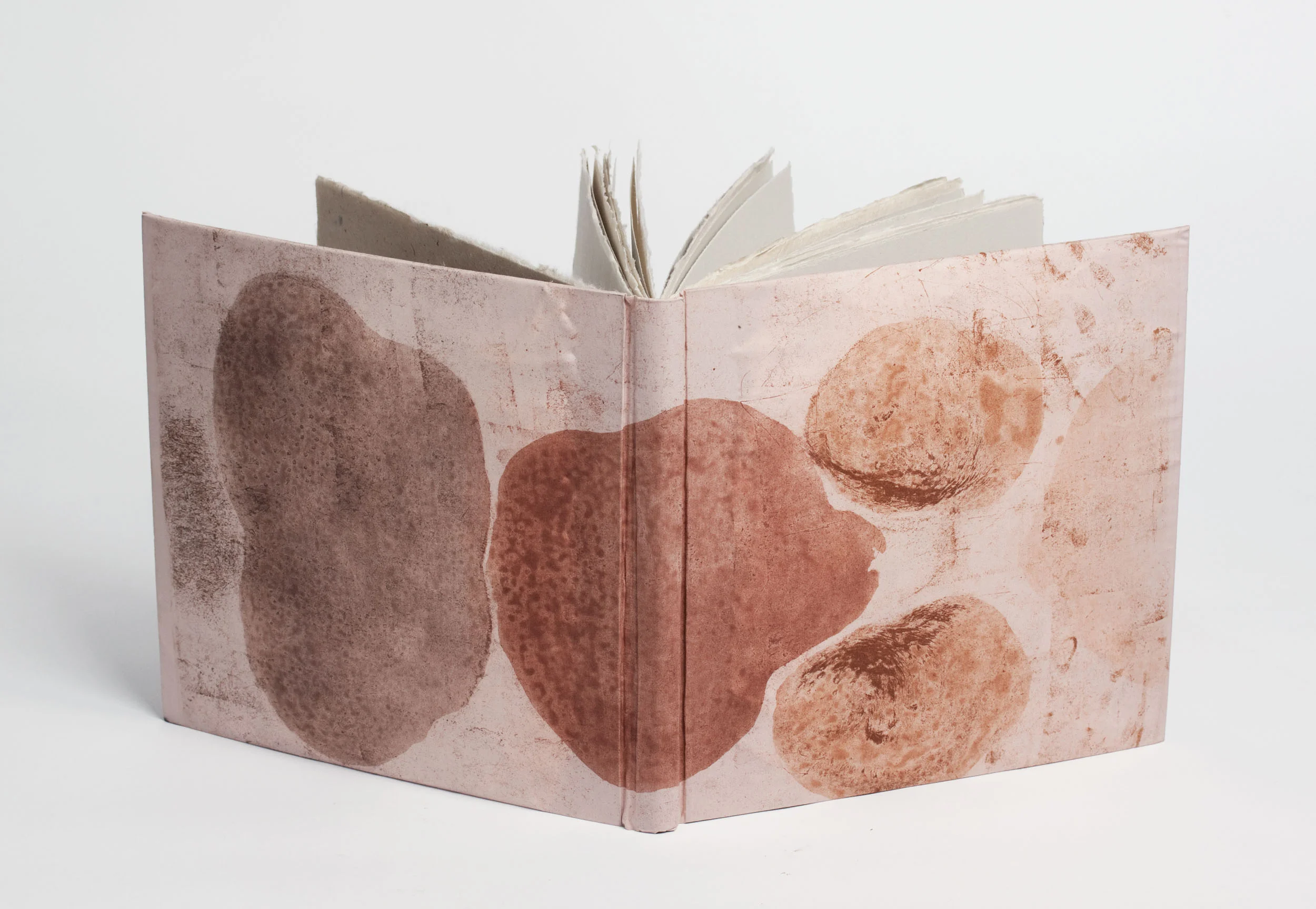 Embodiment Practice Artist Book, containing 10 etchings and 12 screenprints, 2012