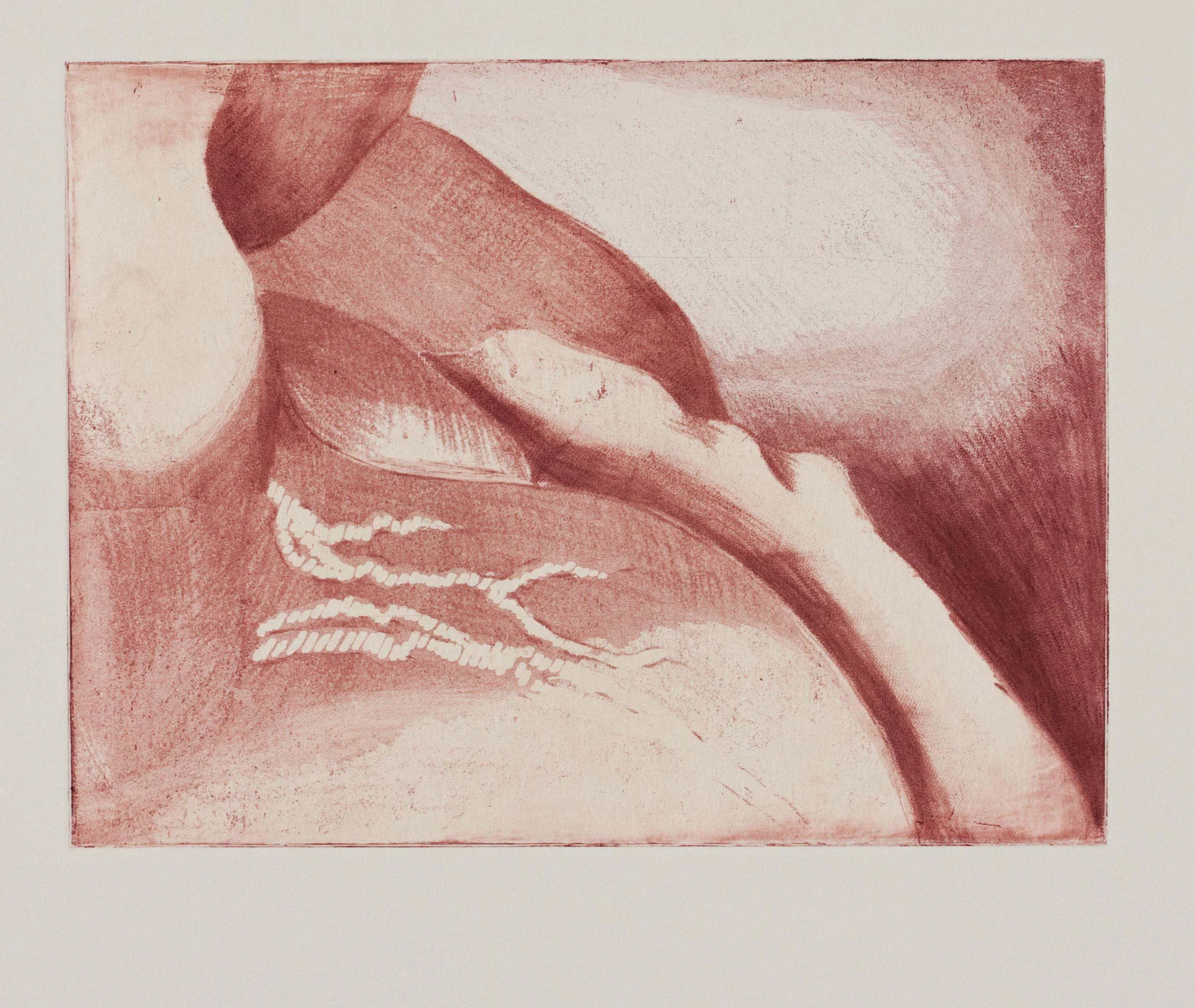 Fingering Fat Flesh 02, Etching, 8" by 6", 2012