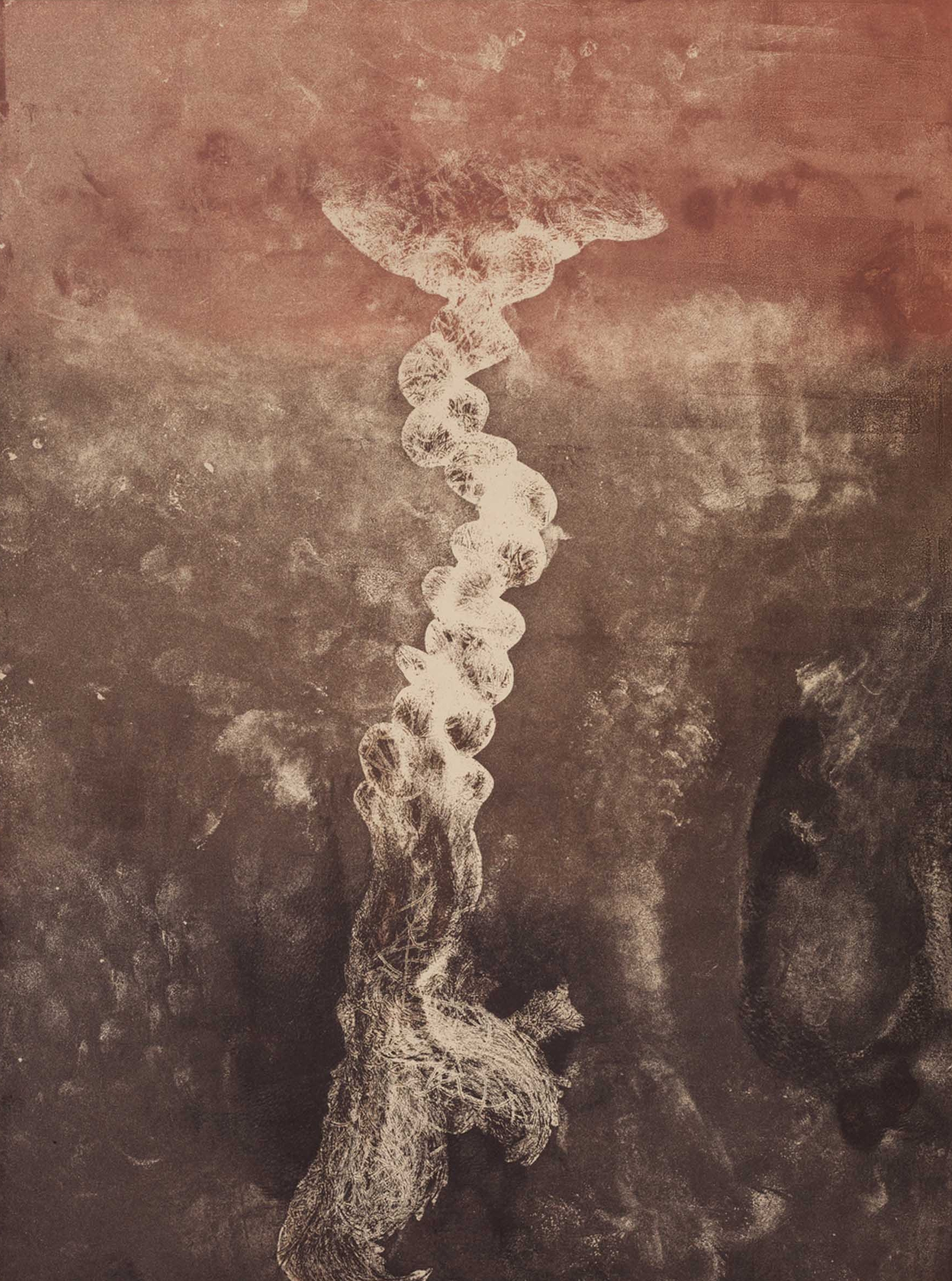 Vertabraid, Soft Ground Etching printed a la poupee, 18" by 24", 2013