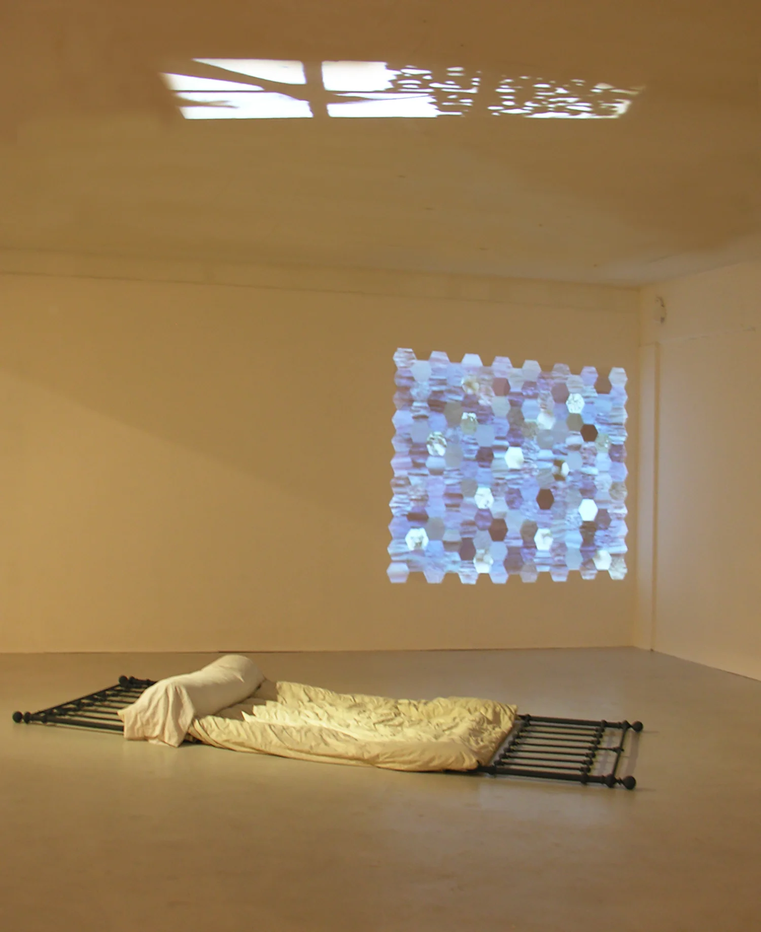 bonn-installation.jpg