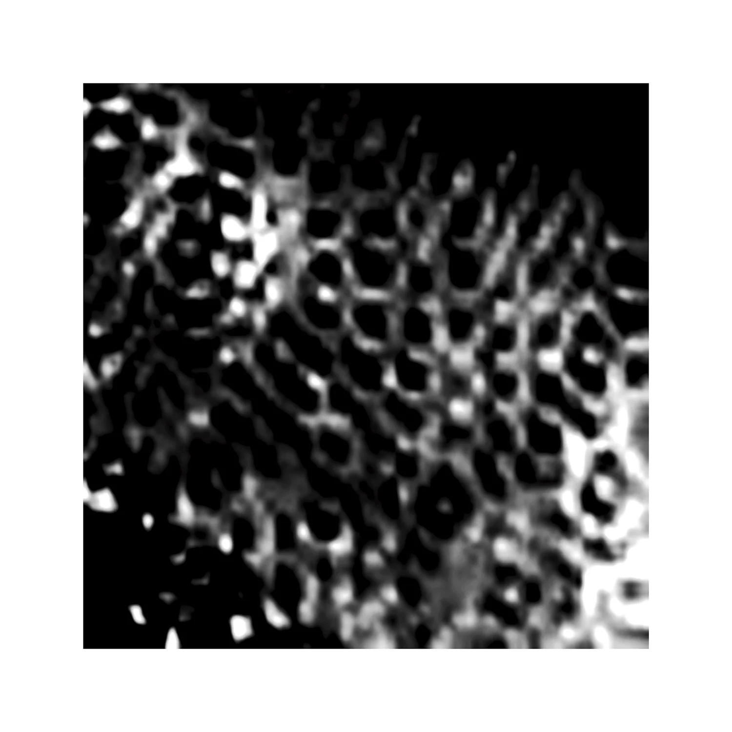 Oscillation 1