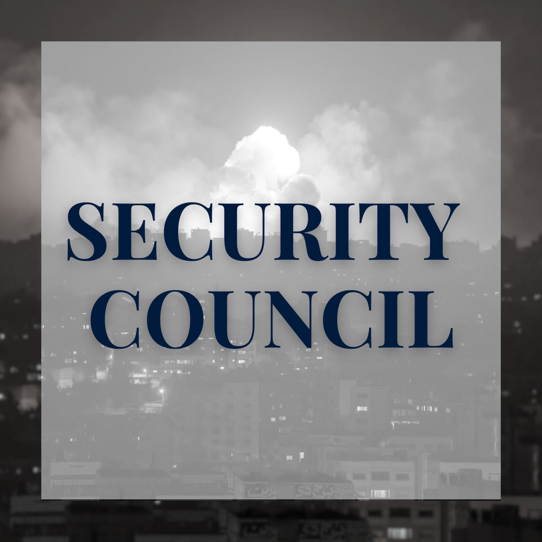 SECURITY COUNCIL (1).png