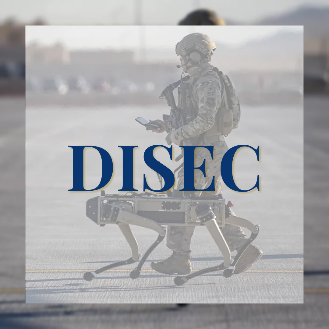 disec (1).png