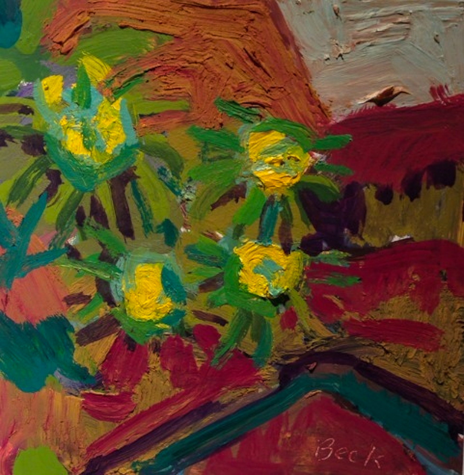 Aconites