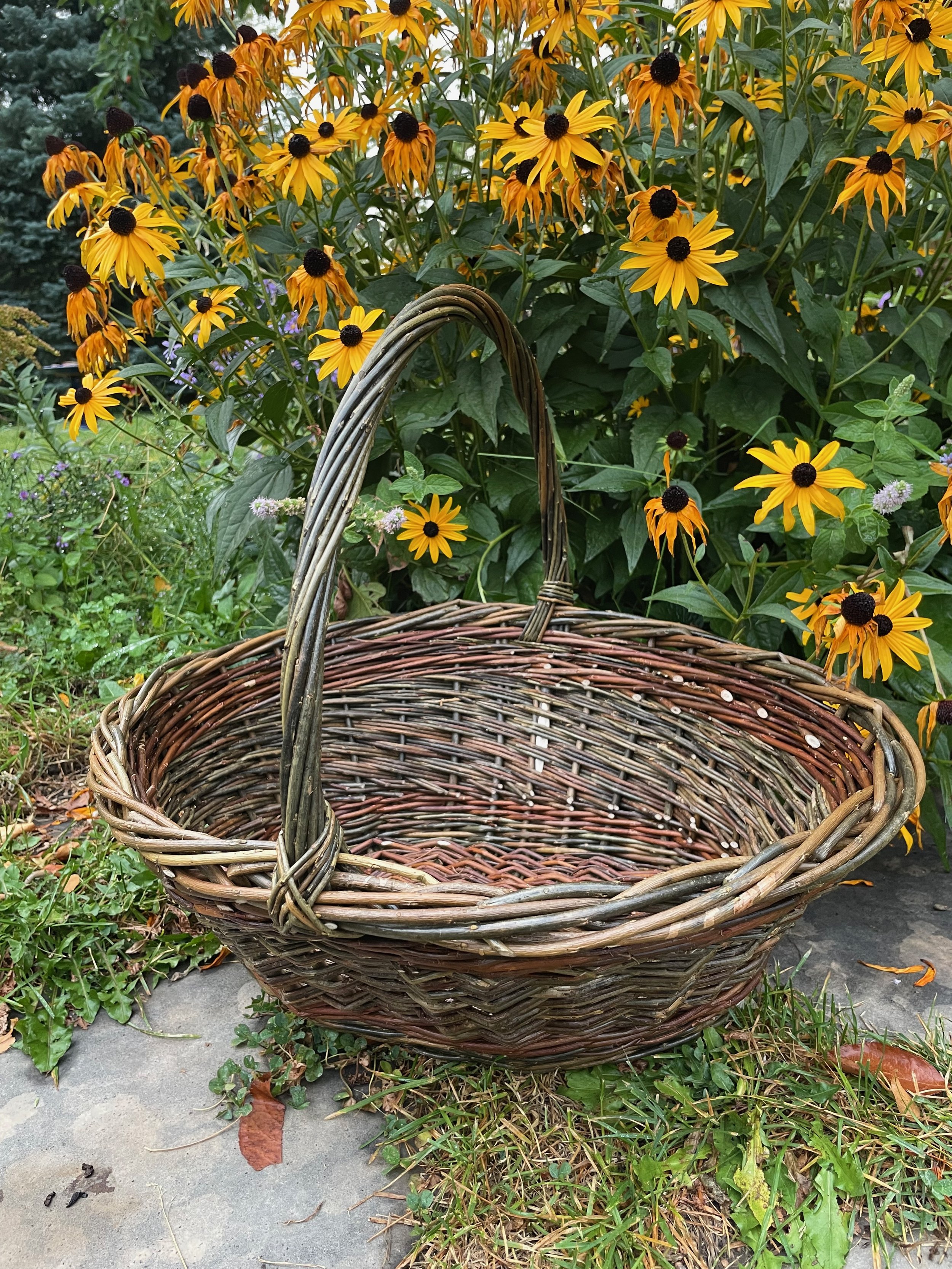 Oval shopping basket