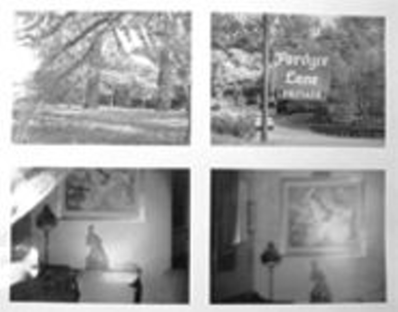 Actual night vision surveillance pictures provided by Investigator, James Alan Anterio