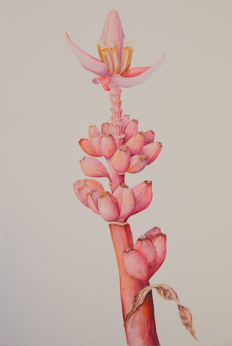 Screen Shot 2018-02-22 at 6.21.16 am.png