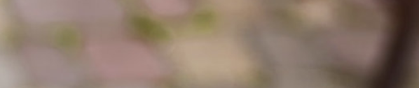 Capture d’écran 2018-10-26 à 17.15.26.png