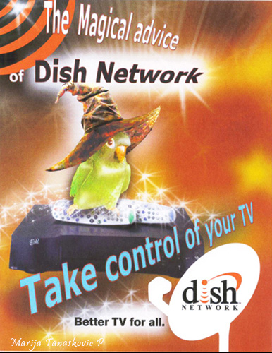 DISH TV MARKETING IDEA