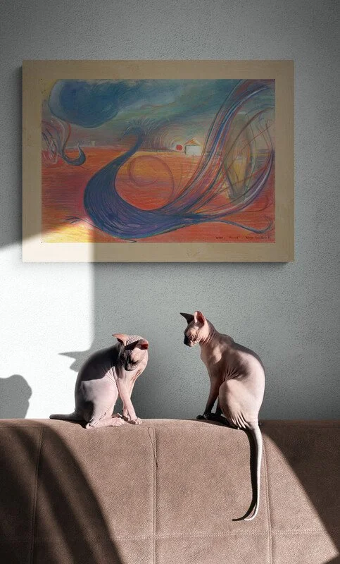 Pair_of_cats_sunbathing_on_sofa.jpg